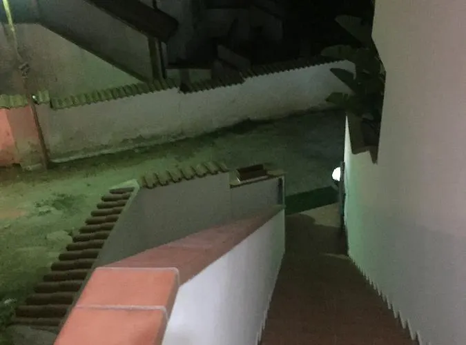 Chloe Tropea 圣多米尼卡